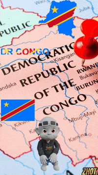 Merci Congo GIF by Zhot