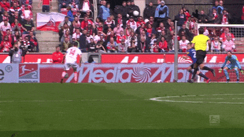 jonas hector football GIF by 1. FC Köln