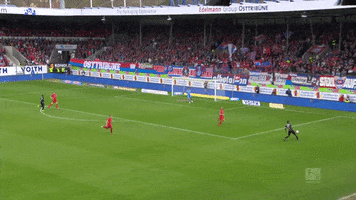 fckoeln football soccer goal bundesliga GIF