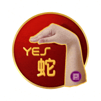 Chinese New Year Celebration GIF by Pocca Dot Media