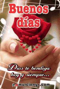 El Amor Buenos Dias GIF by Murcianys LLC