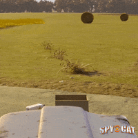 the secret life of pets animation GIF by Signature Entertainment