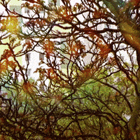 Art Design GIF