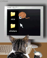 cat computers GIF by Cheezburger