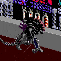 Fox Animation Lol GIF by Animation Domination High-Def