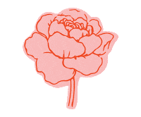 freshsends flower rose fresh send Sticker