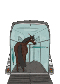 horzdrive pferd pferde horsetrailer pferdeanhänger Sticker