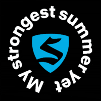 Summer Workout GIF by SWEAT440