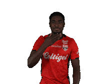 Ligue 2 Football Sticker by EA Guingamp