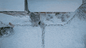 Nathan Fielder Snow GIF by HBO