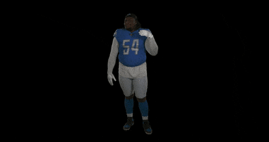 Football No GIF by Detroit Lions