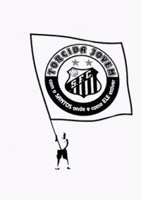 Seria A Santos Fc GIF