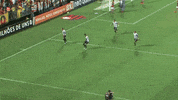 santos fc dance GIF by Santos Futebol Clube