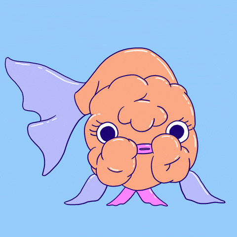 fishyfilms love happy heart smile GIF