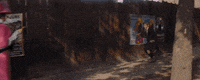 Dog Film GIF
