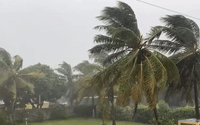 Cyclone Freddy Weakens to Severe Tropical Storm as It Reaches Mozambique