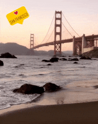 surbhikaushik beach california sunset waves GIF