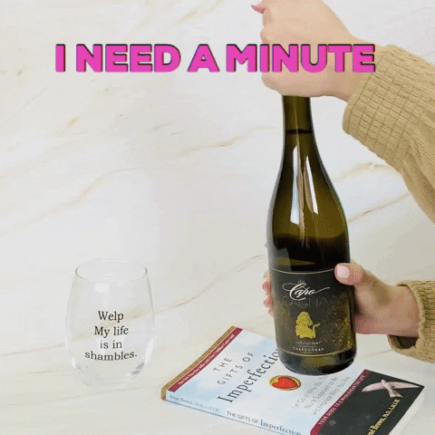 LeahVanDale cheers wine drinks salute GIF