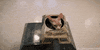tank GIF
