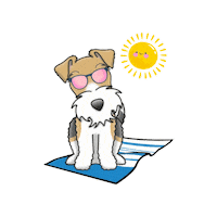 Wire Fox Terrier Sticker