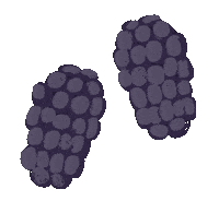 Black Berry Art Sticker