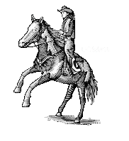 Horse Sticker by UC Davis