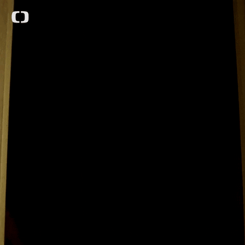 Pelisky Facka GIF by Česká televize