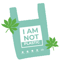 Sticker by Avani Eco