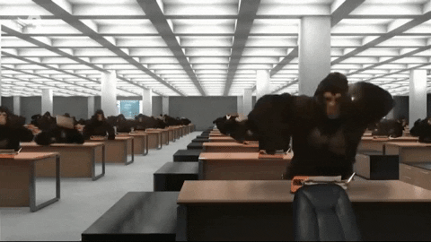 monkey working GIF