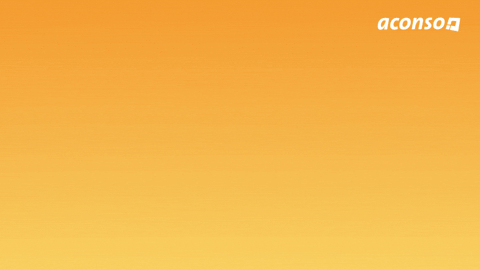 Spring Break Party GIF by aconso AG