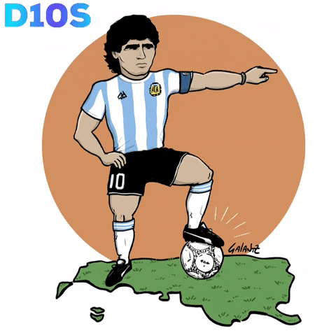 Seleccion Argentina Futbol GIF