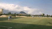 GIF by Fluminense Football Club