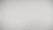 Adam Kennedy Nod GIF by GIANTS