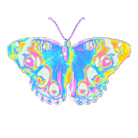 Rainbow Flying Sticker
