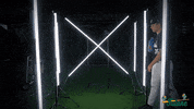 Tulane Rollwave GIF by GreenWave