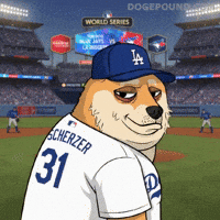 World Series Baseball GIF by Doge Pound