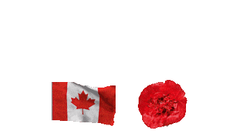 Memorial Day Thank You Sticker by Vinnie Camilleri