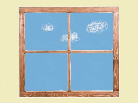 Window Smash GIF by Barbara Pozzi