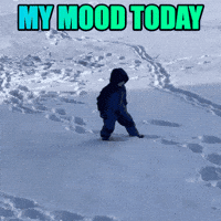 Snowfall Wintertime GIF by Linda Rey & Trevor