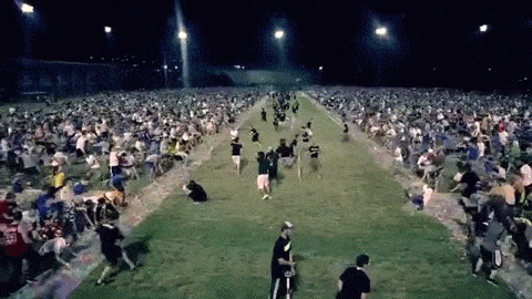 GIF by Supercompressor