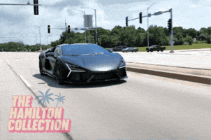Super Car GIF by TheHamiltonCollection