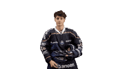 Angers Maxime Sticker by Les Ducs d'Angers
