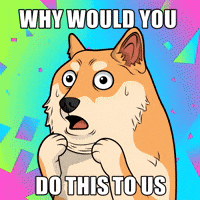 Shocked Shiba Inu GIF by Doge Pound