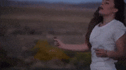 light on GIF by Maggie Rogers