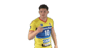 Volleyball Sticker by Draisma Dynamo