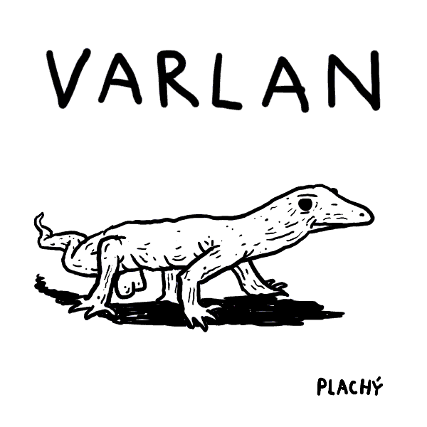 jaromirplachy giphyupload kule varan koule GIF