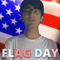 United States Usa GIF