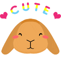 Happy In Love Sticker by rabbitomart