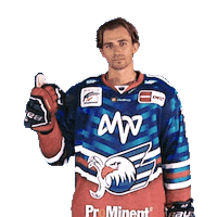 Eisenschmid Sticker by Adler Mannheim