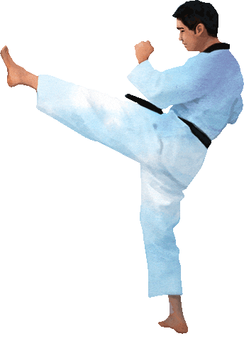 Martial Arts Sport Sticker by vank